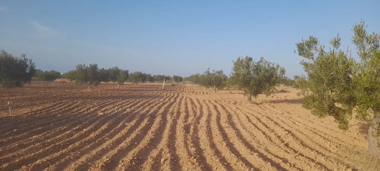 Terrain à vendre á Mellita Djerba - photo 3