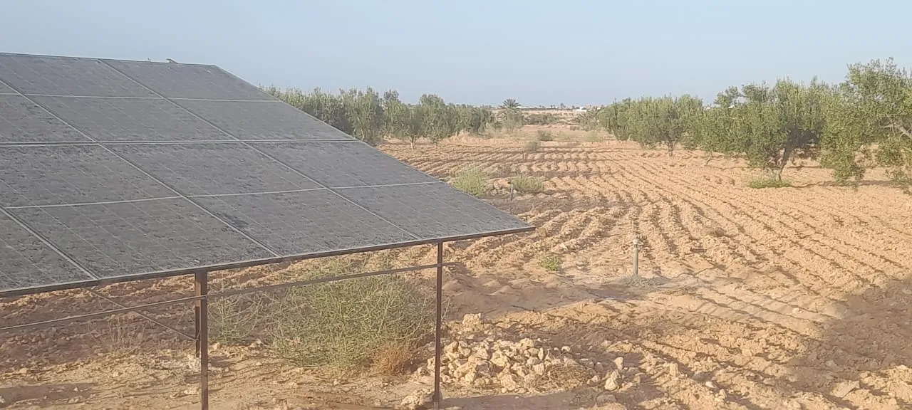 Terrain à vendre á Mellita Djerba - photo 2
