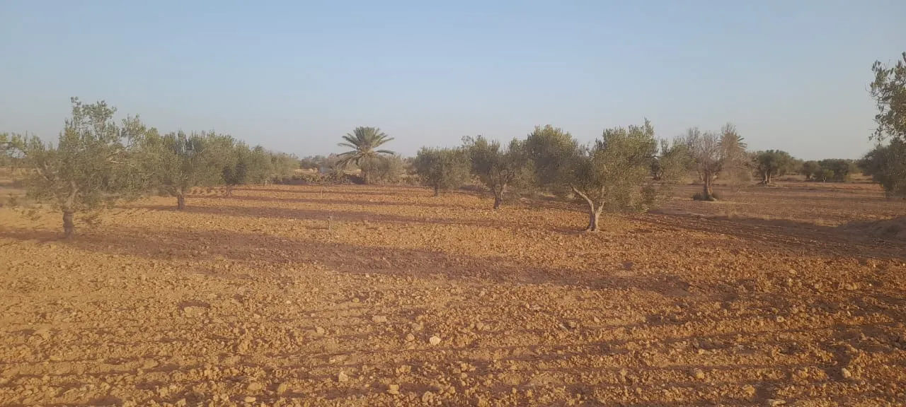 Terrain à vendre á Mellita Djerba - photo 5