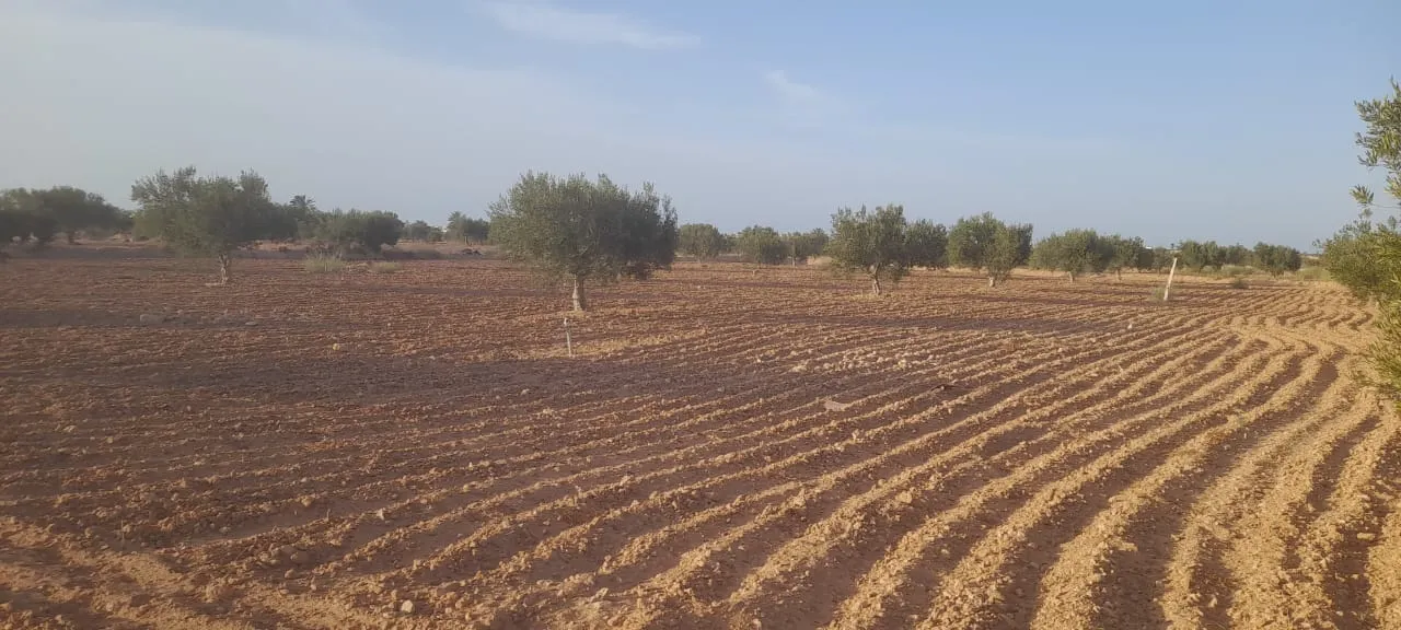 Terrain à vendre á Mellita Djerba - photo 4
