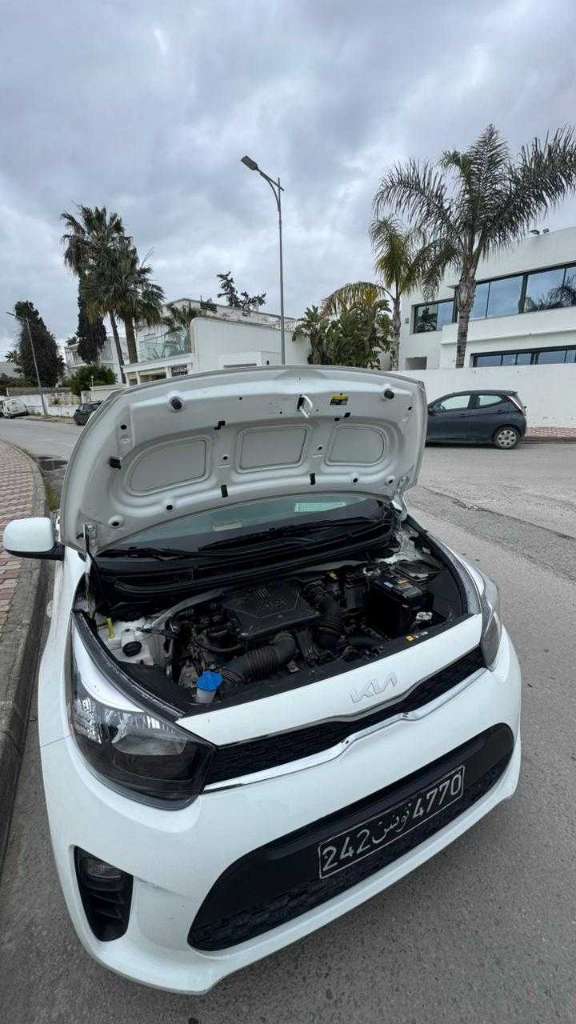 Kia picanto .58346808