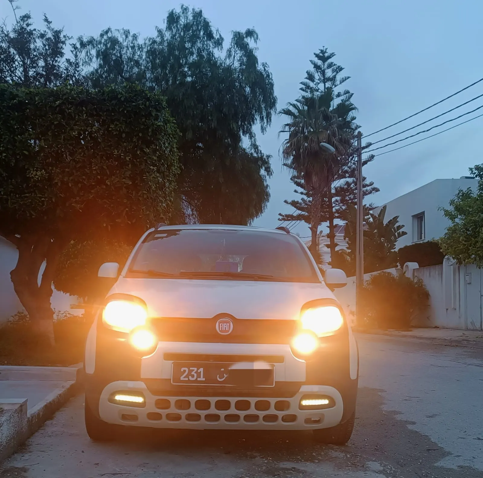 FIAT PANDA CROSS 2023 - 1ere Main - 60mille km (4cylindres)