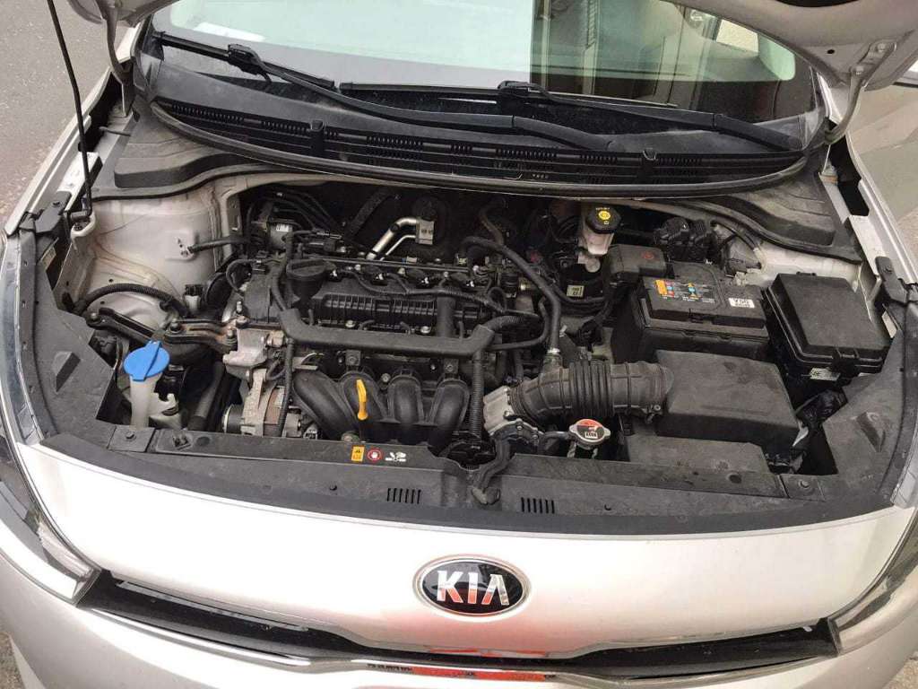 Kia rio