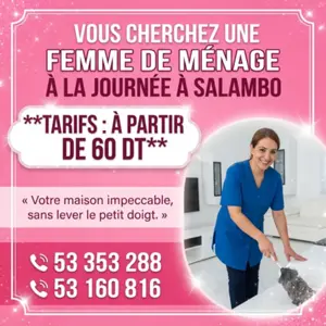 femme de menage par jour a salambo