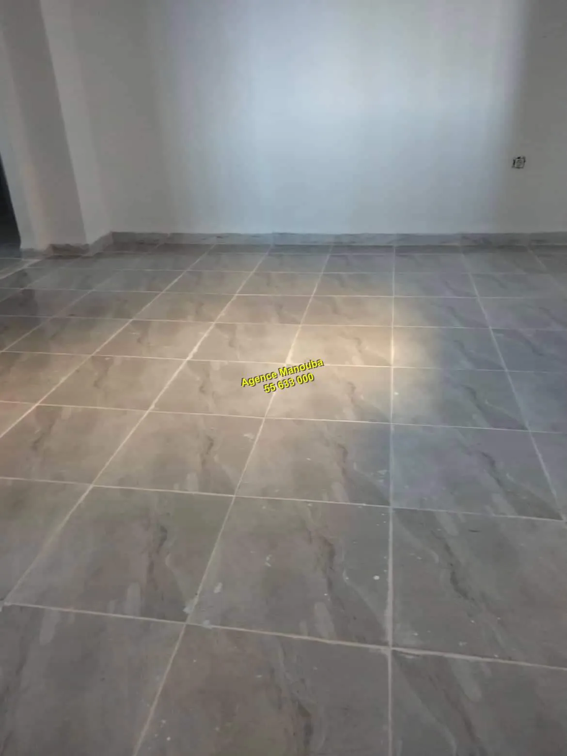 appartement s+2