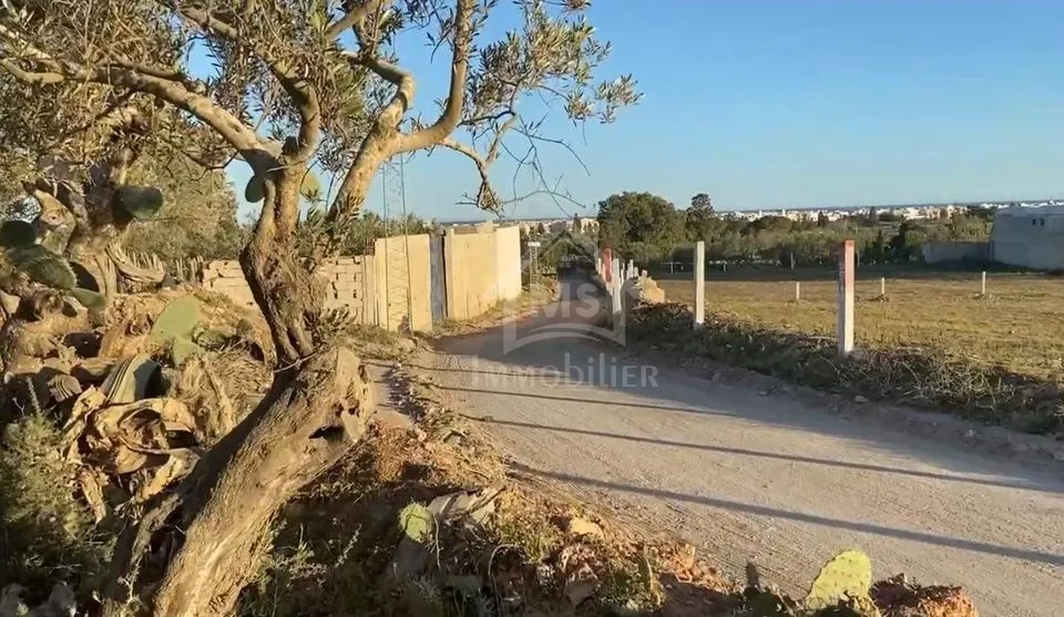 Un terrain vue de mer à vendre à Béni Khiar 51355351