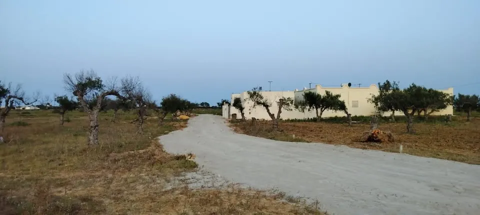 280m a hamammet sud 62MD 