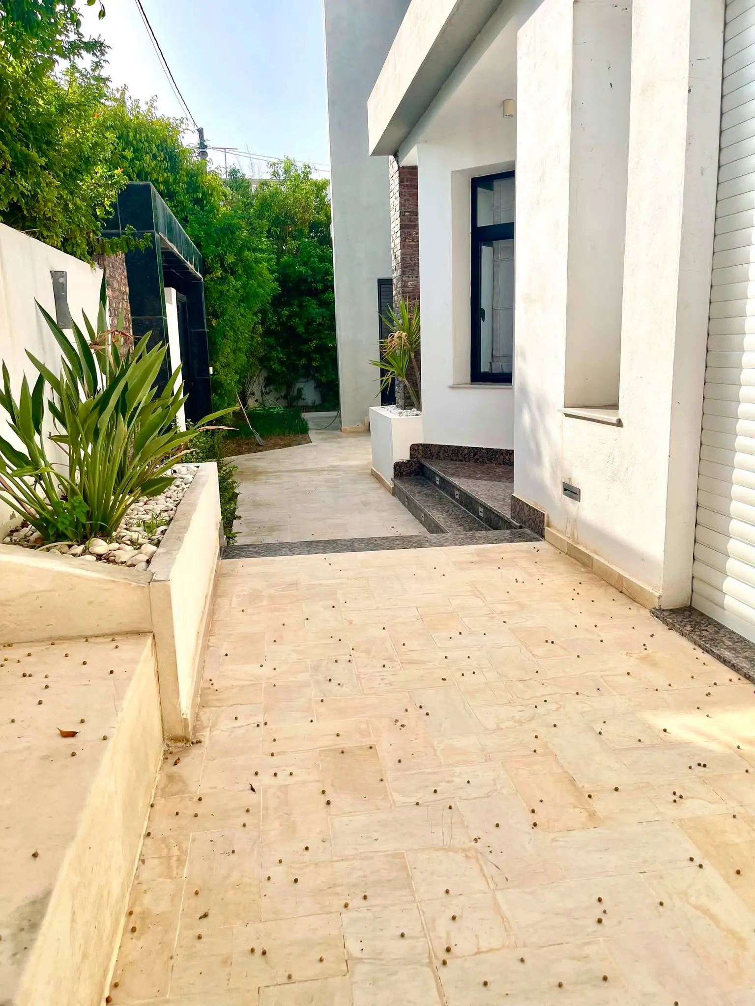 villa d'architecte s5 à mégrine riadh
