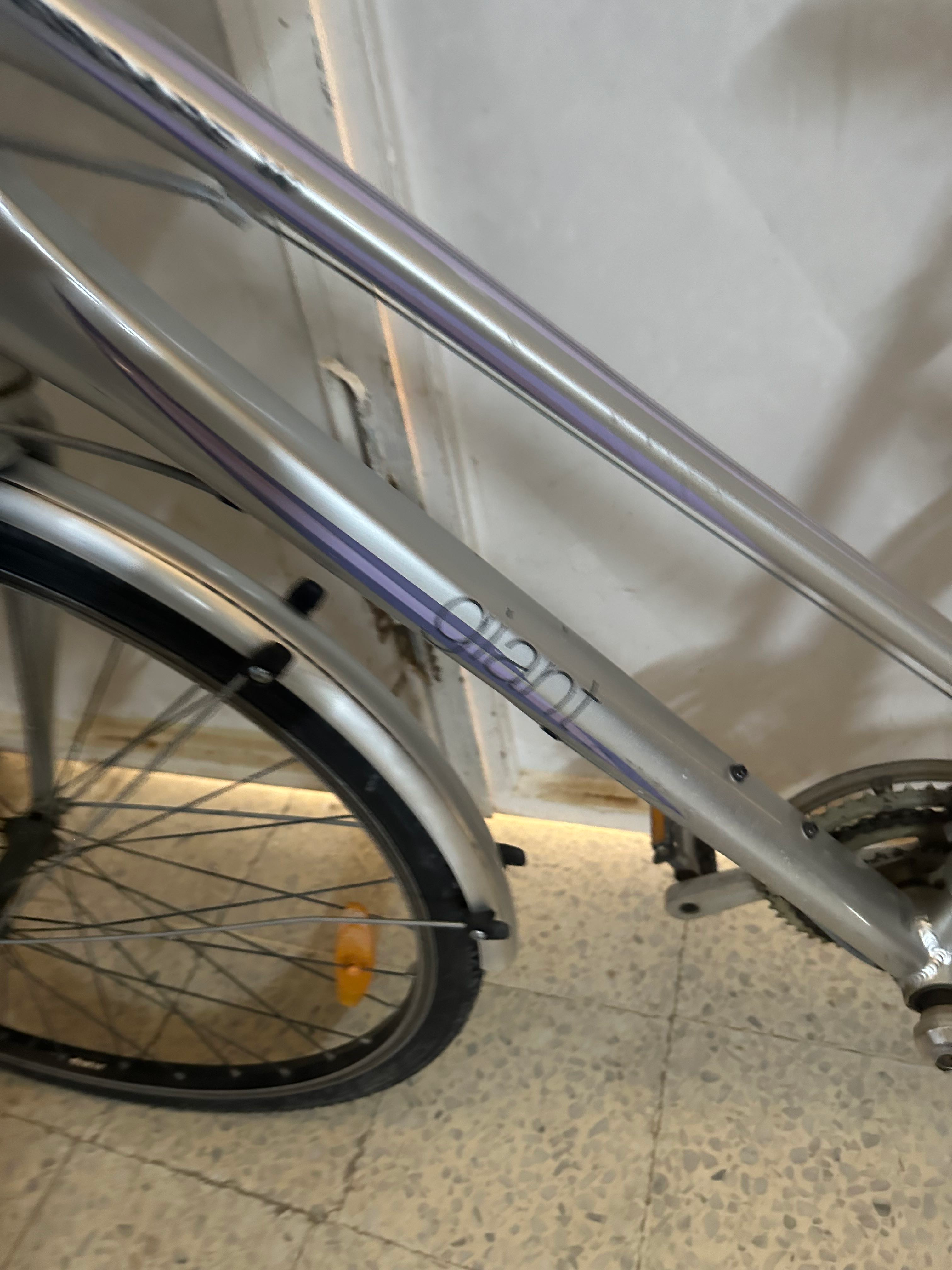 velo importer