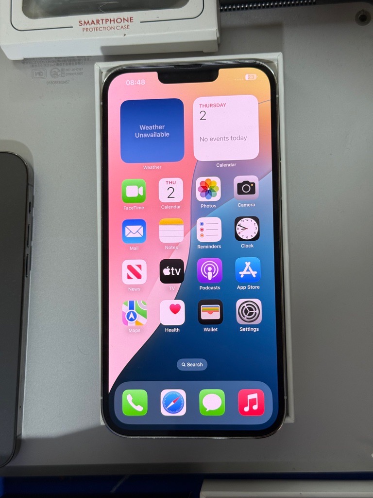 iPhone 13 Pro Max (256GB)