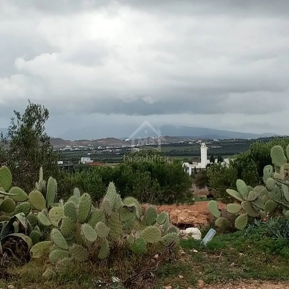 Terrain de 2700 m² à Hammamet Sud à vendre à 200 MD 51355351