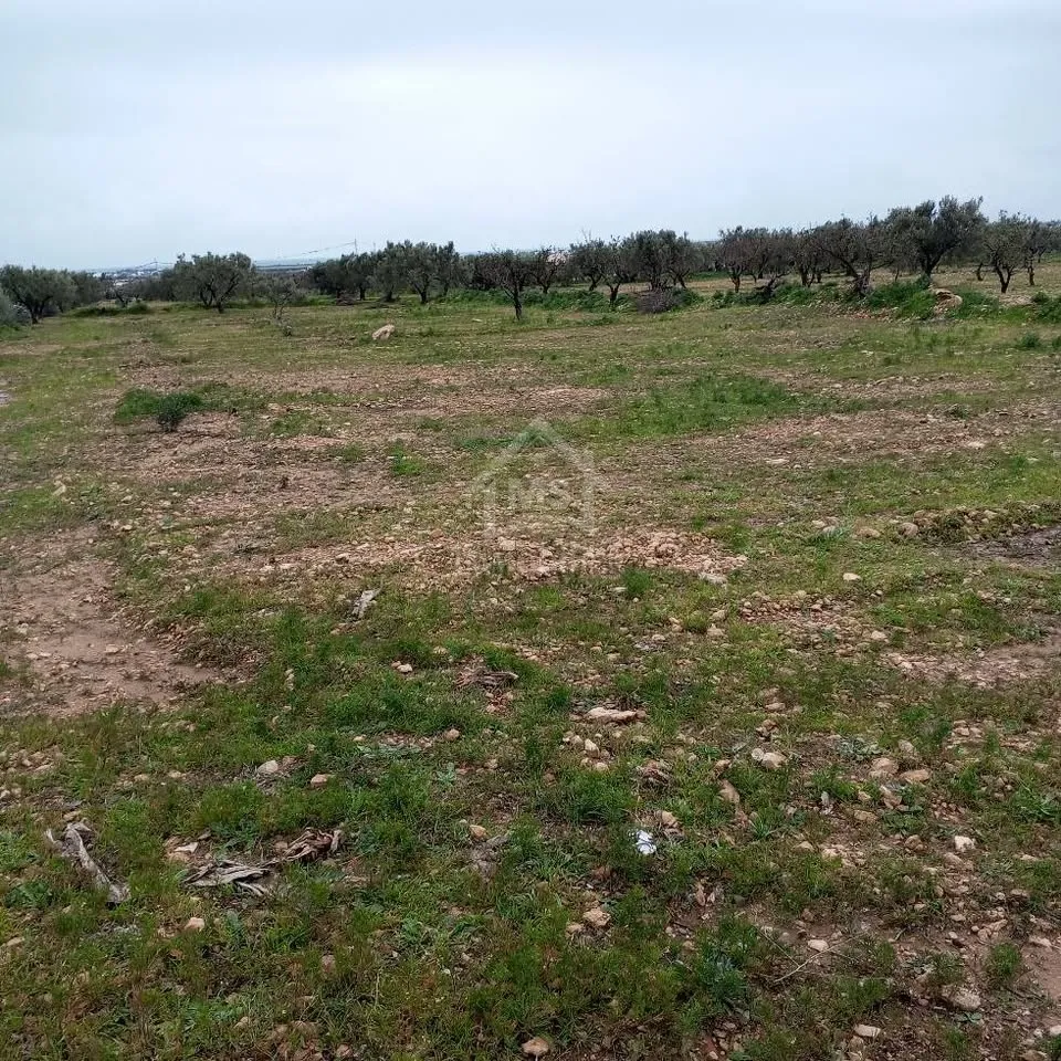Terrain de 2700 m² à Hammamet Sud à vendre à 200 MD 51355351
