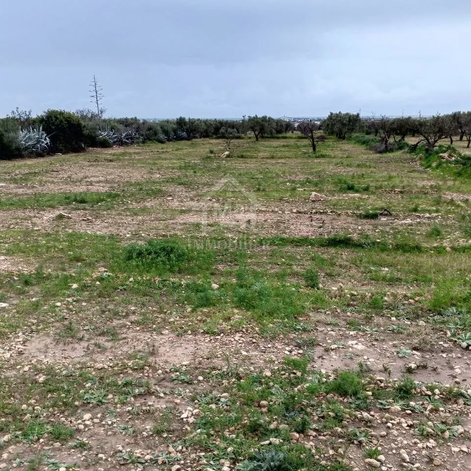 Terrain de 2700 m² à Hammamet Sud à vendre à 200 MD 51355351