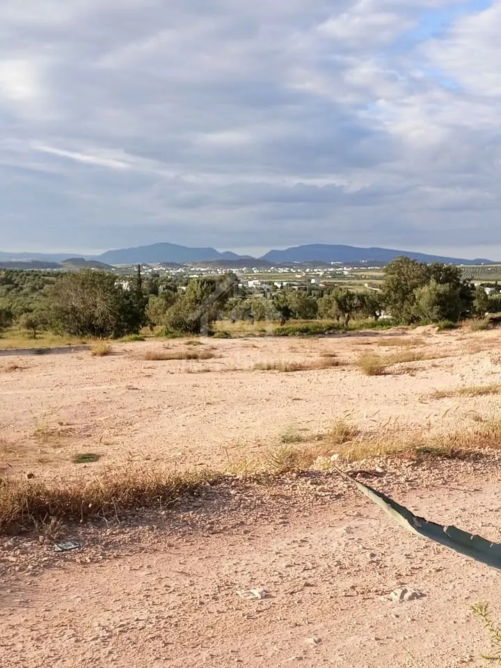 Terrain de 2700 m² à Hammamet Sud à vendre à 200 MD 51355351
