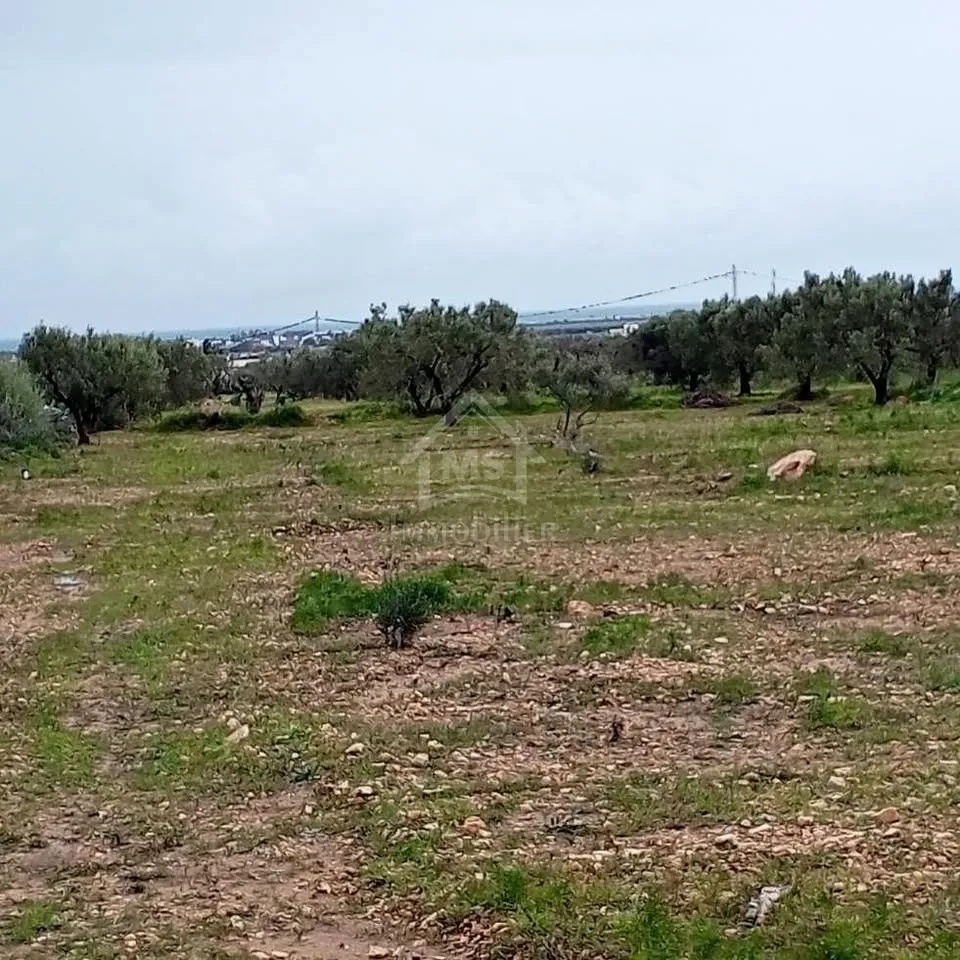 Terrain de 2700 m² à Hammamet Sud à vendre à 200 MD 51355351