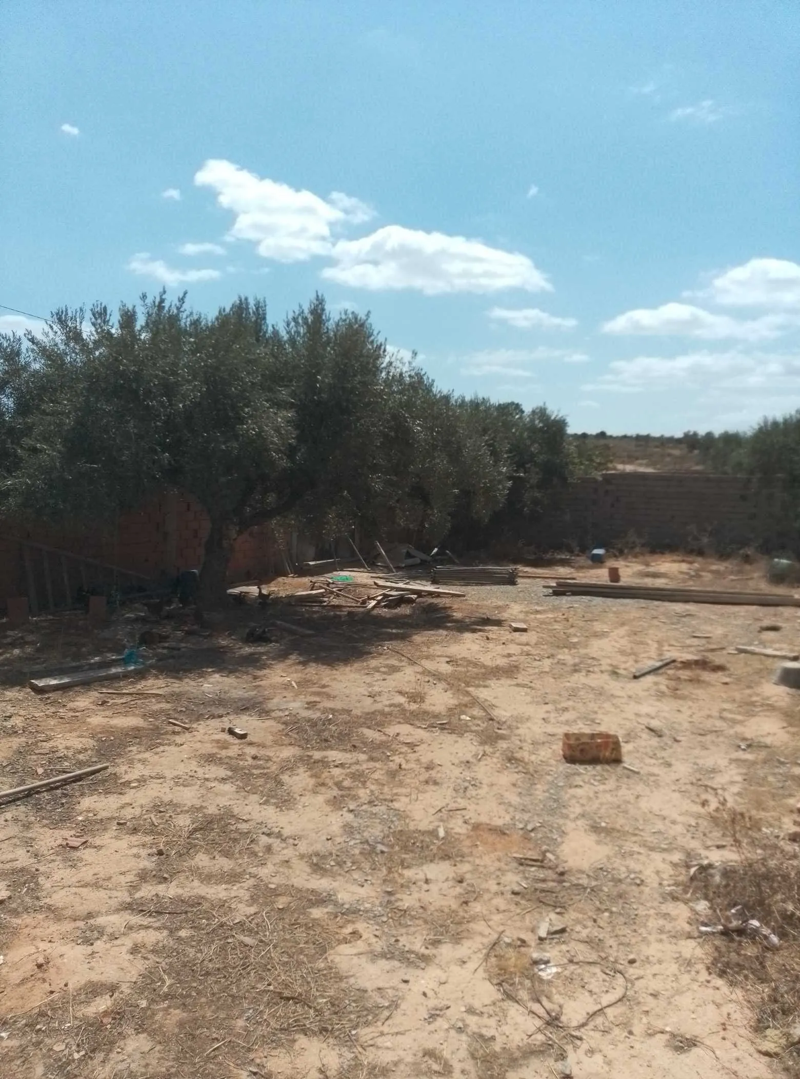 منزل في طور الباء