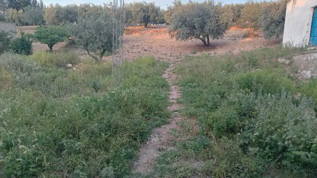 أرض للبيع 🏕