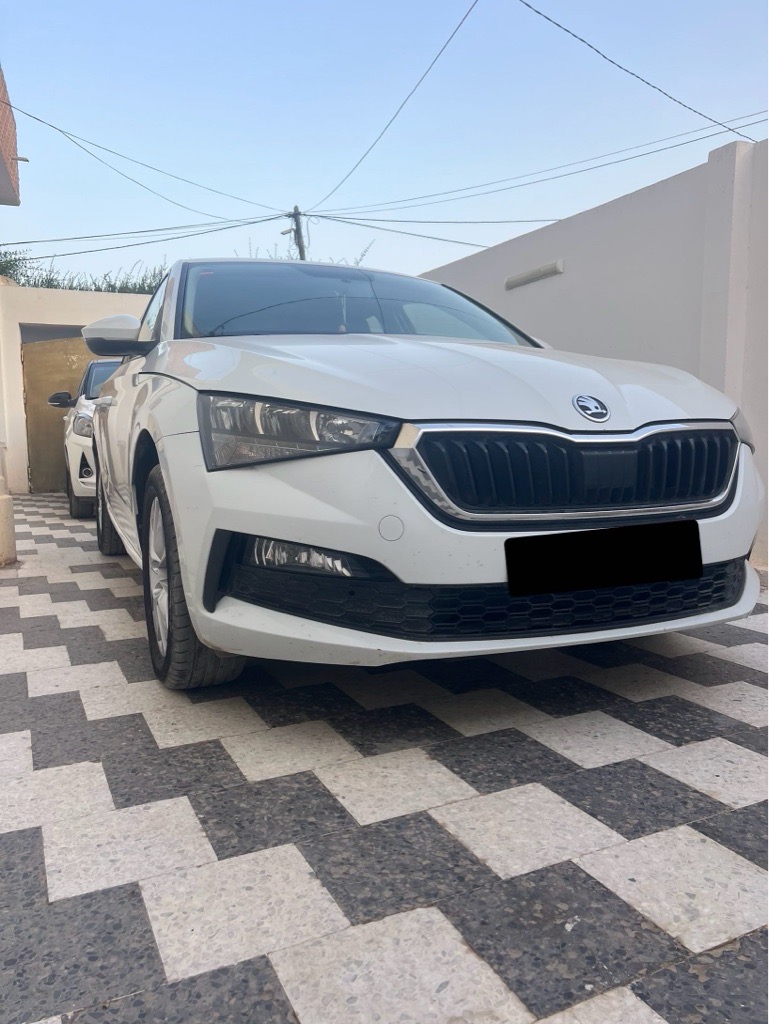 Skoda Skala