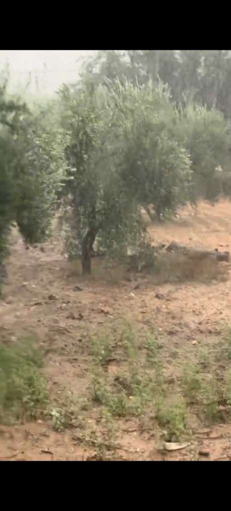 Terrain agricole à ventre sur route principLe