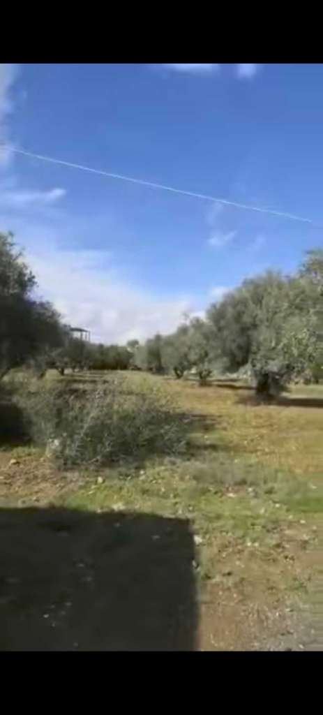 Terrain agricole à ventre sur route principLe