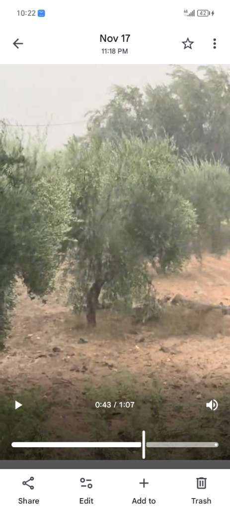 Terrain agricole à ventre sur route principLe