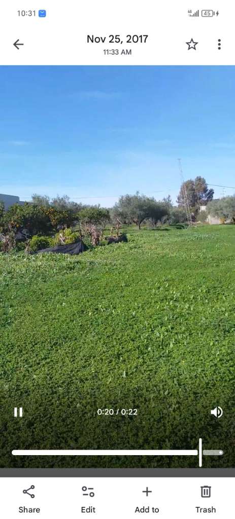 Terrain agricole à ventre sur route principLe