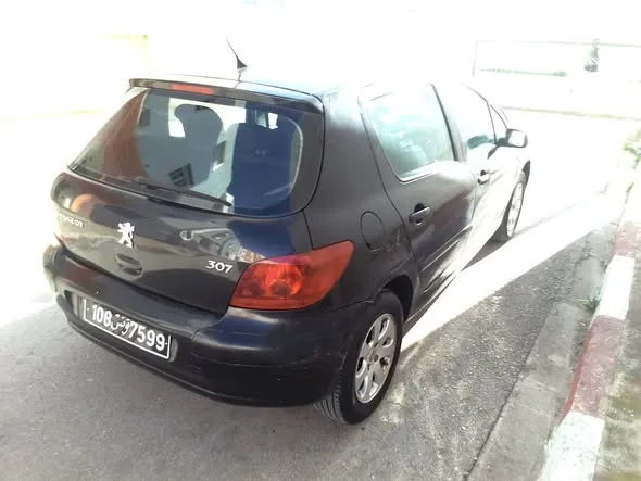 Peugeot 307 essence