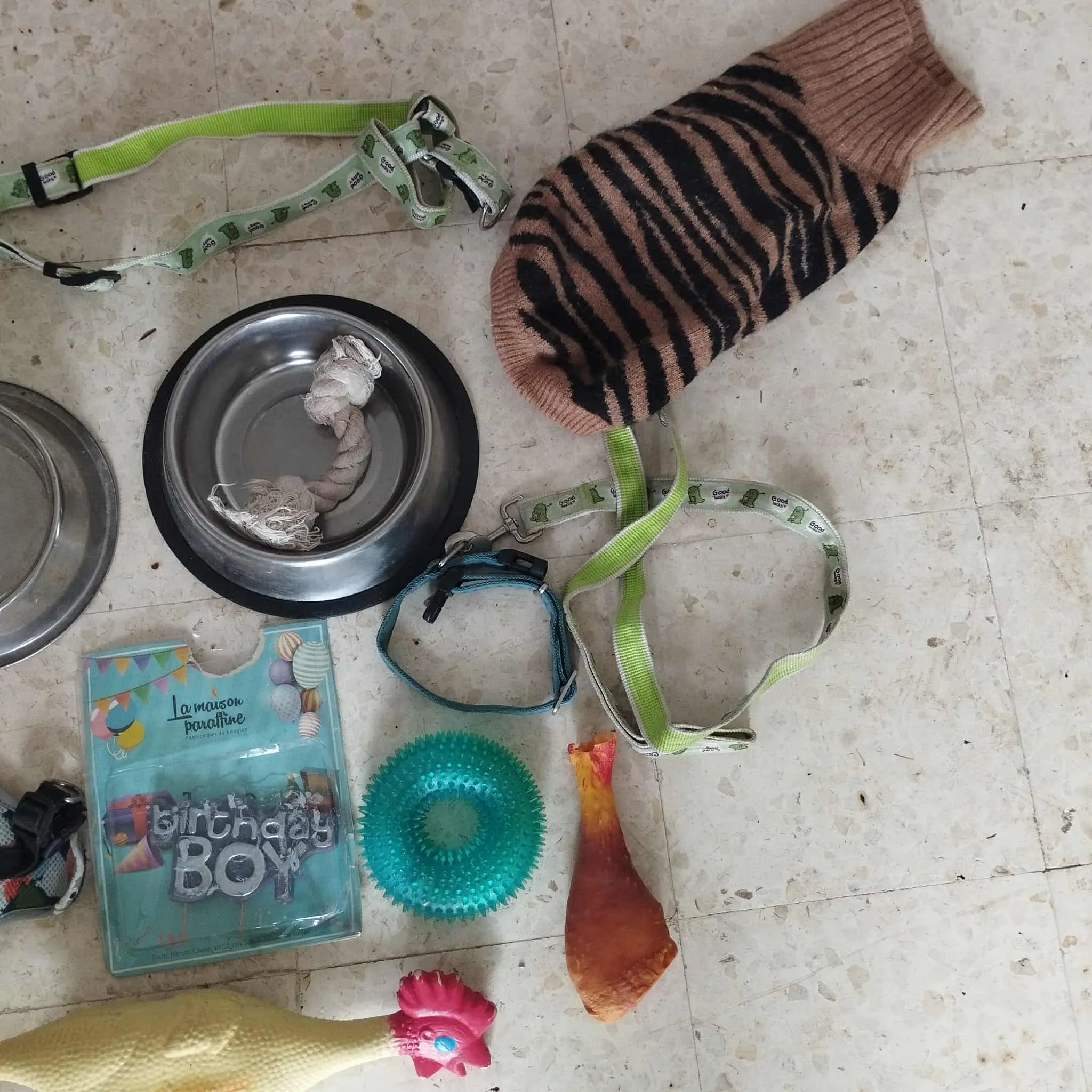 matériel pour chien 