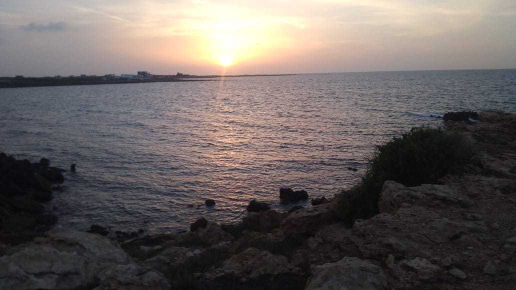 قطعة الأرض للبيع 2000م² قريبة من البحر يمكن بيع إبتداء من 200م² برج الصالحي الهوارية 