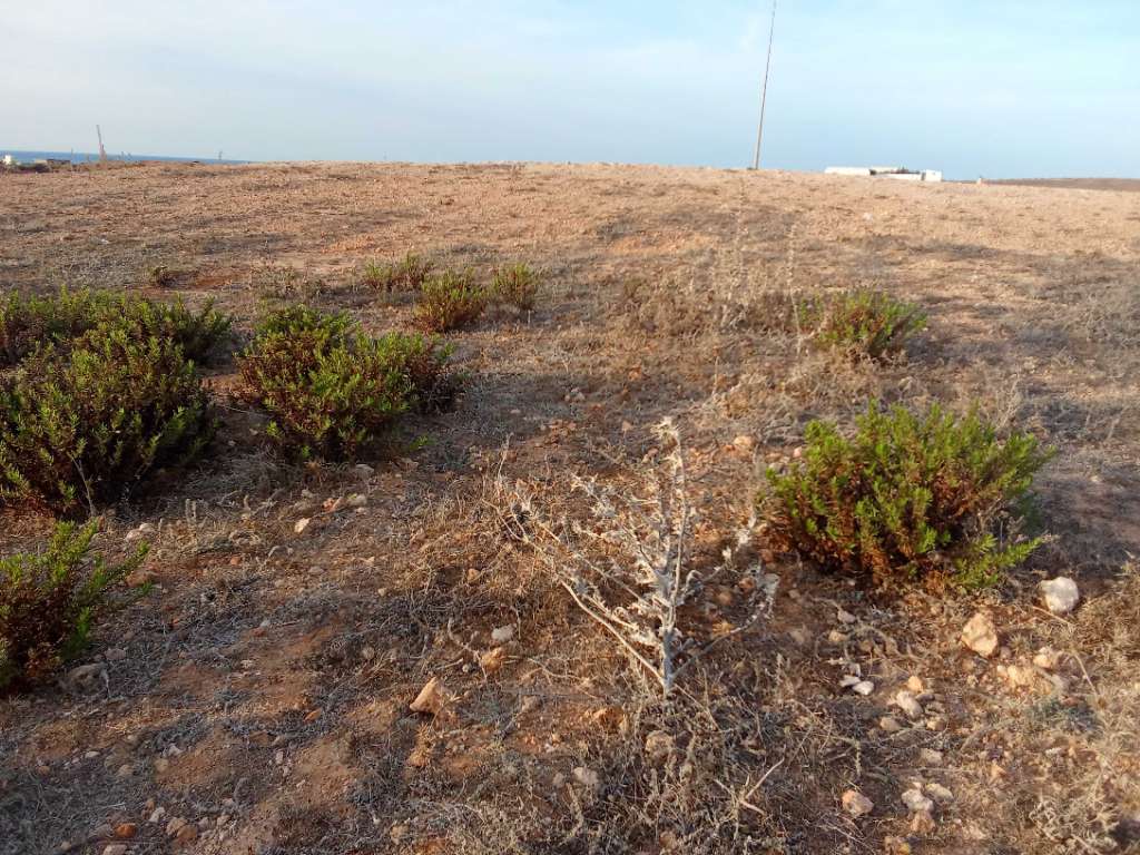 قطعة الأرض للبيع 2000م² قريبة من البحر يمكن بيع إبتداء من 200م² برج الصالحي الهوارية 