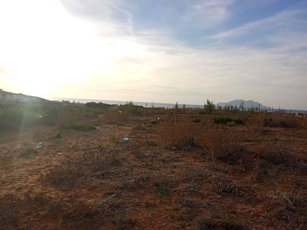 قطعة الأرض للبيع 2000م² قريبة من البحر يمكن بيع إبتداء من 200م² برج الصالحي الهوارية 