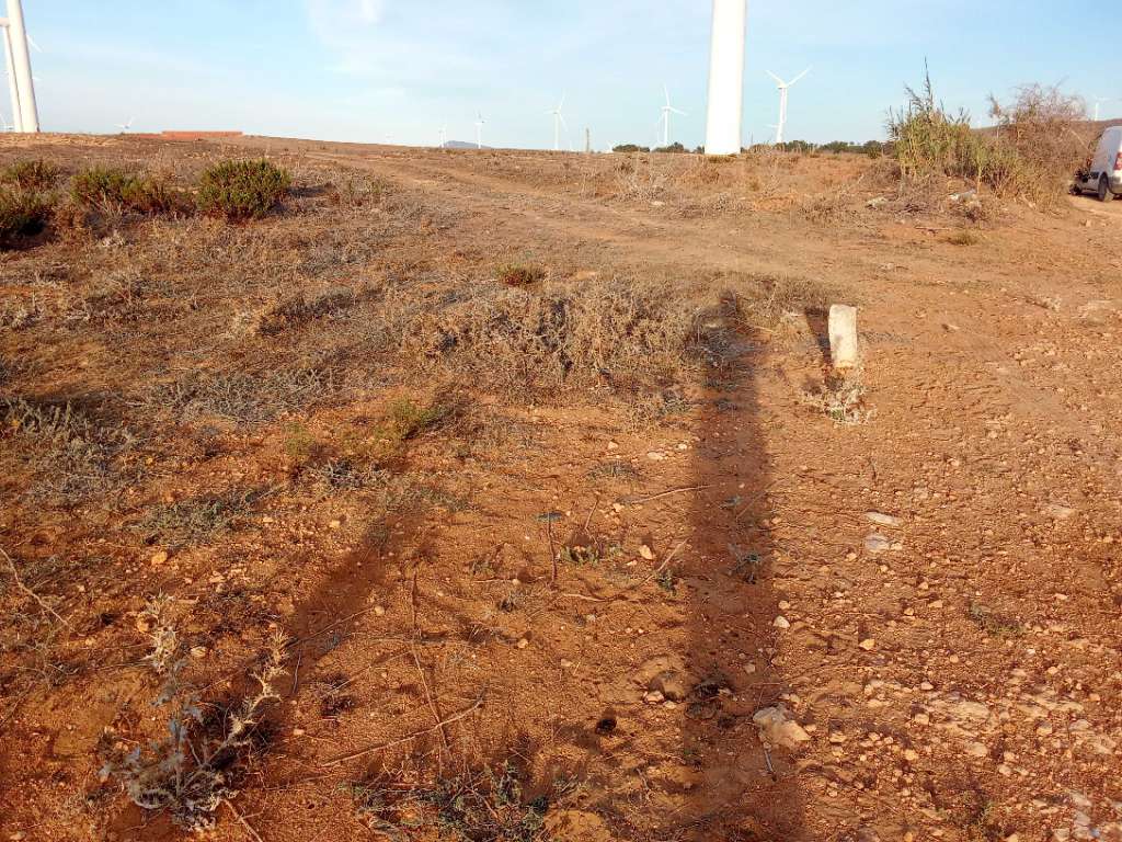 قطعة الأرض للبيع 2000م² قريبة من البحر يمكن بيع إبتداء من 200م² برج الصالحي الهوارية 