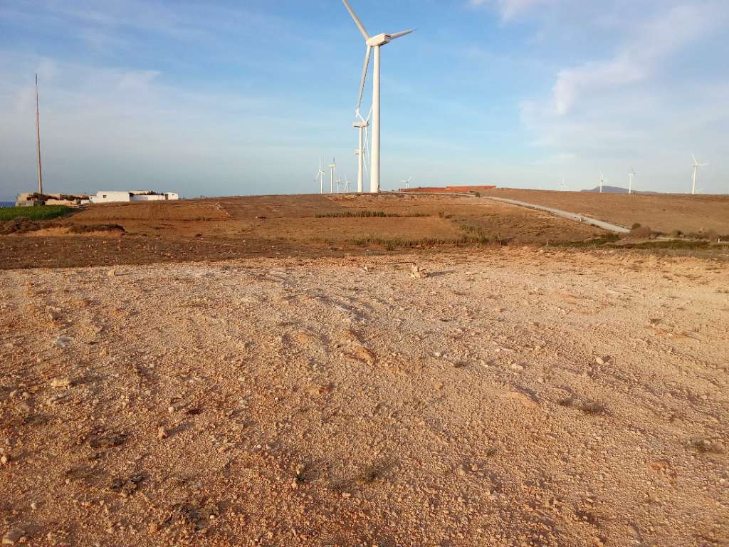 قطعة الأرض للبيع 2000م² قريبة من البحر يمكن بيع إبتداء من 200م² برج الصالحي الهوارية 