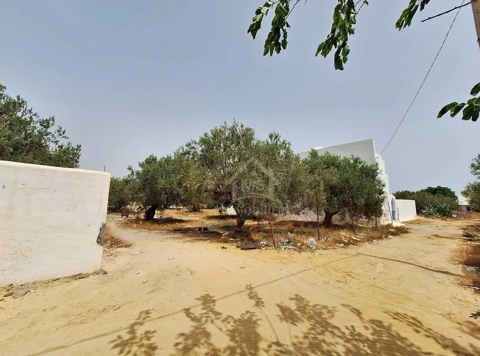 Terrain de 376 m² à vendre à manaret Hammamet 51355351