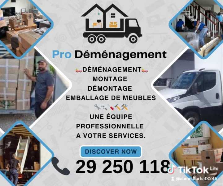Pro déménagement 29250118