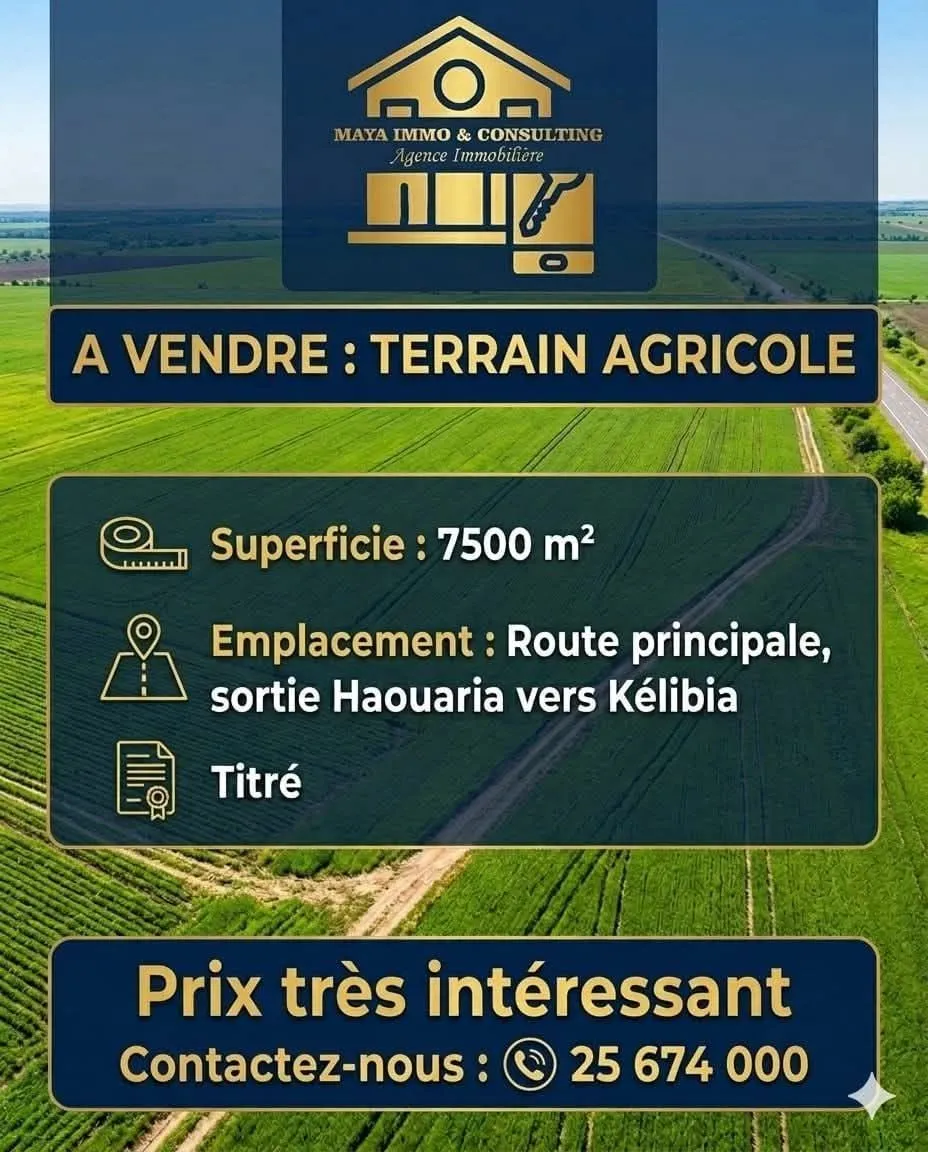 Terrain agricole route principale