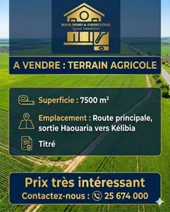 Terrain agricole route principale