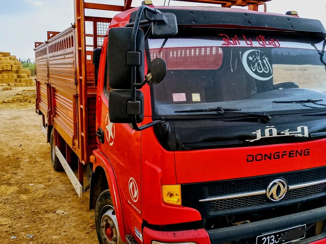 camion Dongfeng poid lourd 125