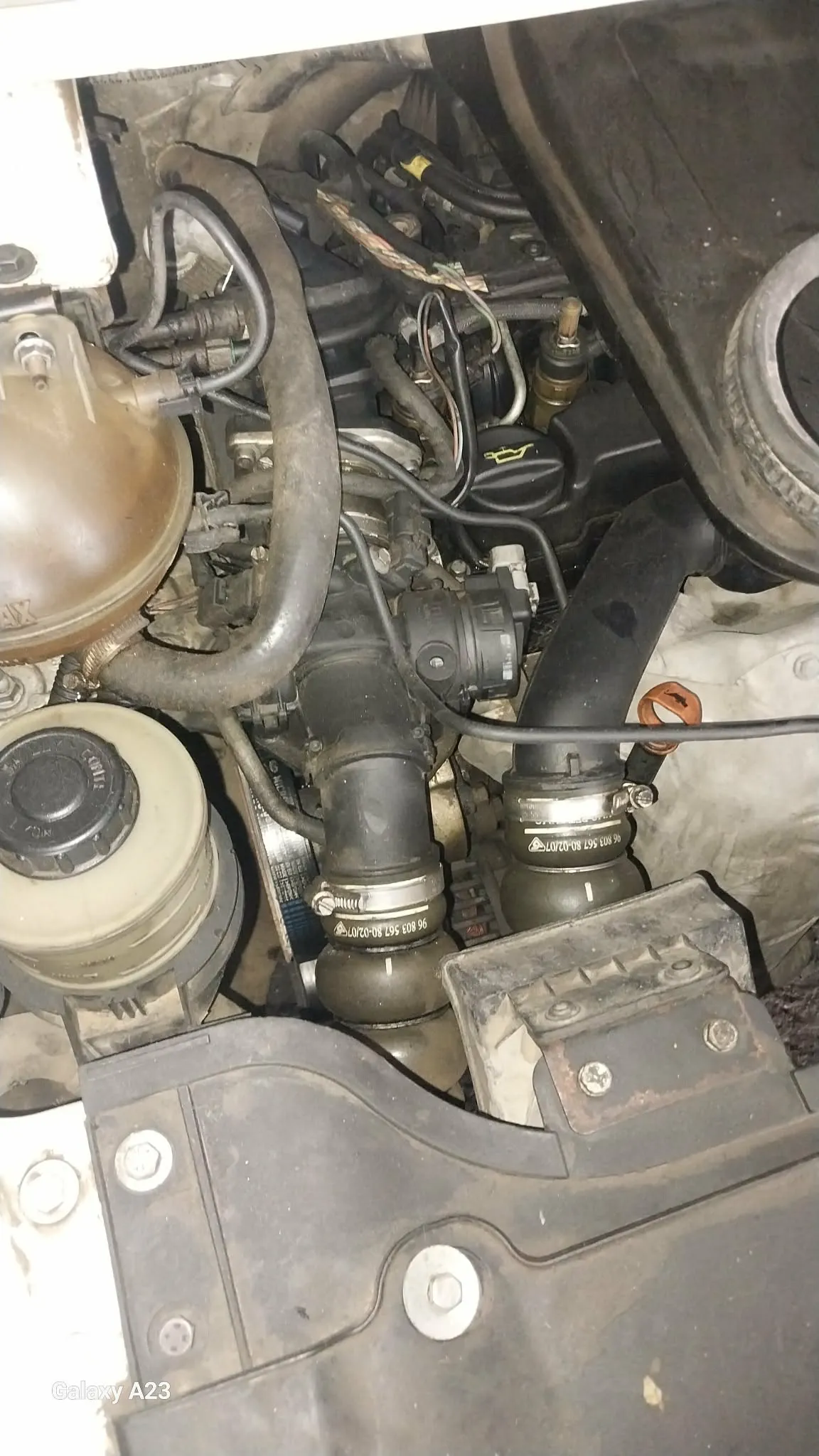 CITROËN JUMPY tel 20.225.064