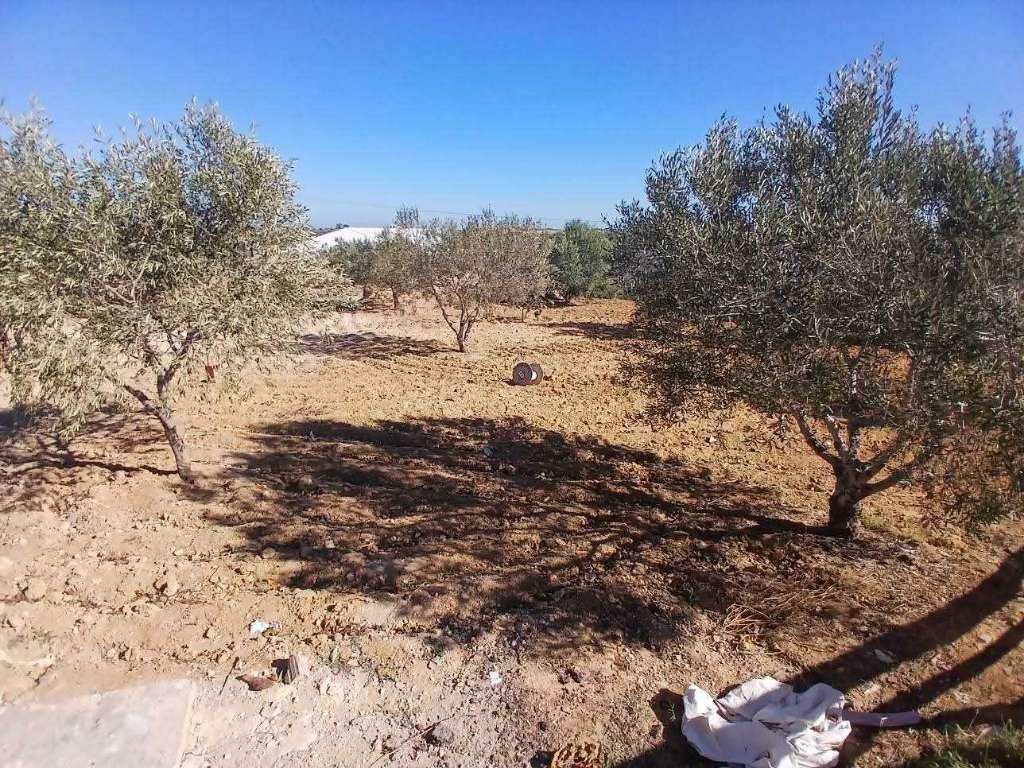 ✨ À VENDRE : PROPRIÉTÉ AGRICOLE DE PRESTIGE ✨