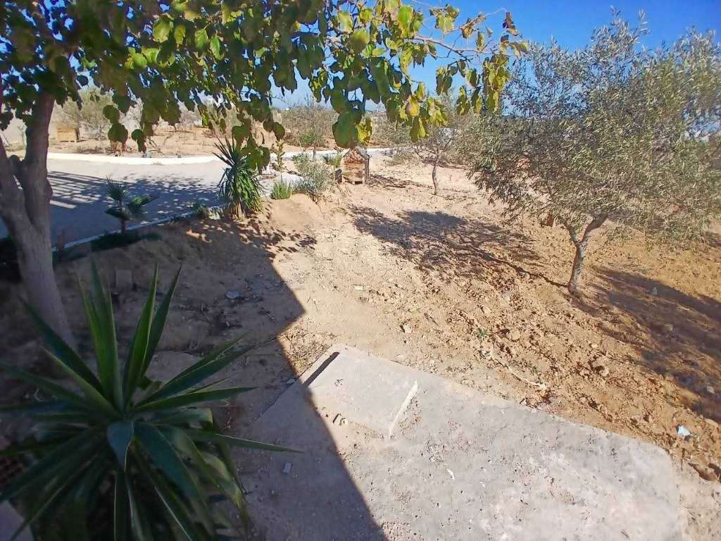 ✨ À VENDRE : PROPRIÉTÉ AGRICOLE DE PRESTIGE ✨