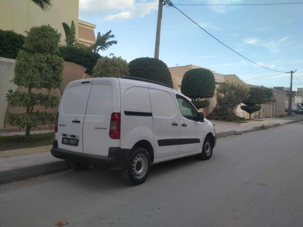 Peugeot partner ehdi 