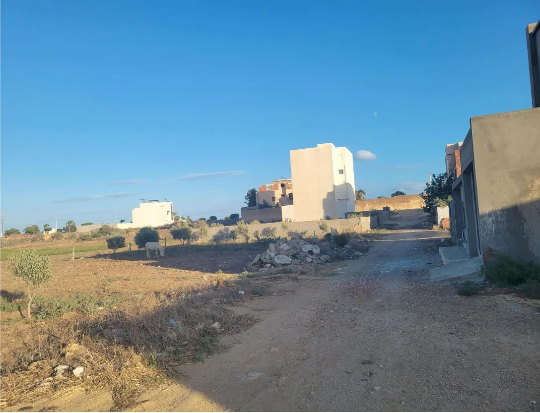 Terrain constructible Mansoura Petit Paris kélibia