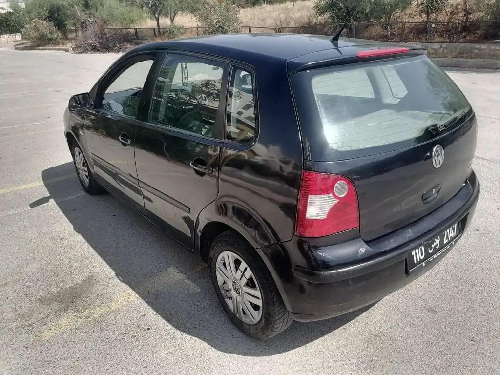 Polo5 1main
