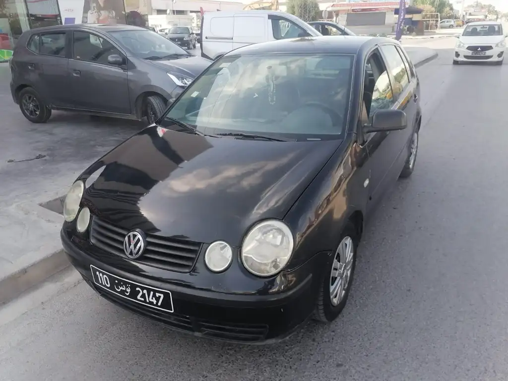 Polo5 1main