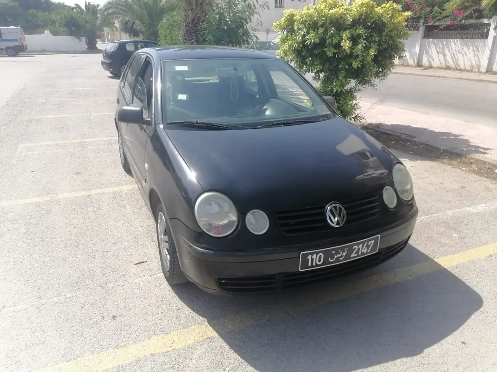 Polo5 1main