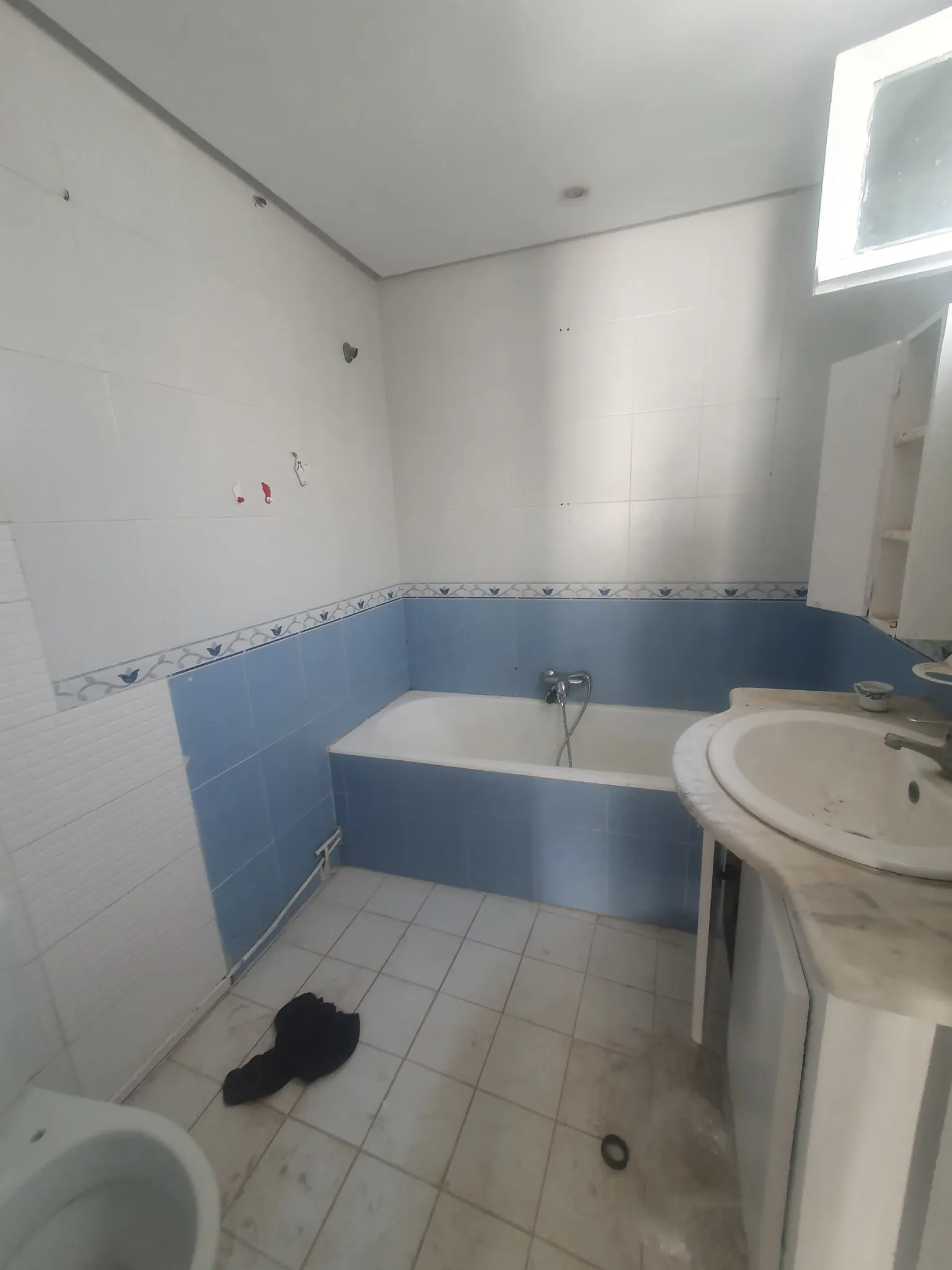 s+3 menzah 5 réf 166