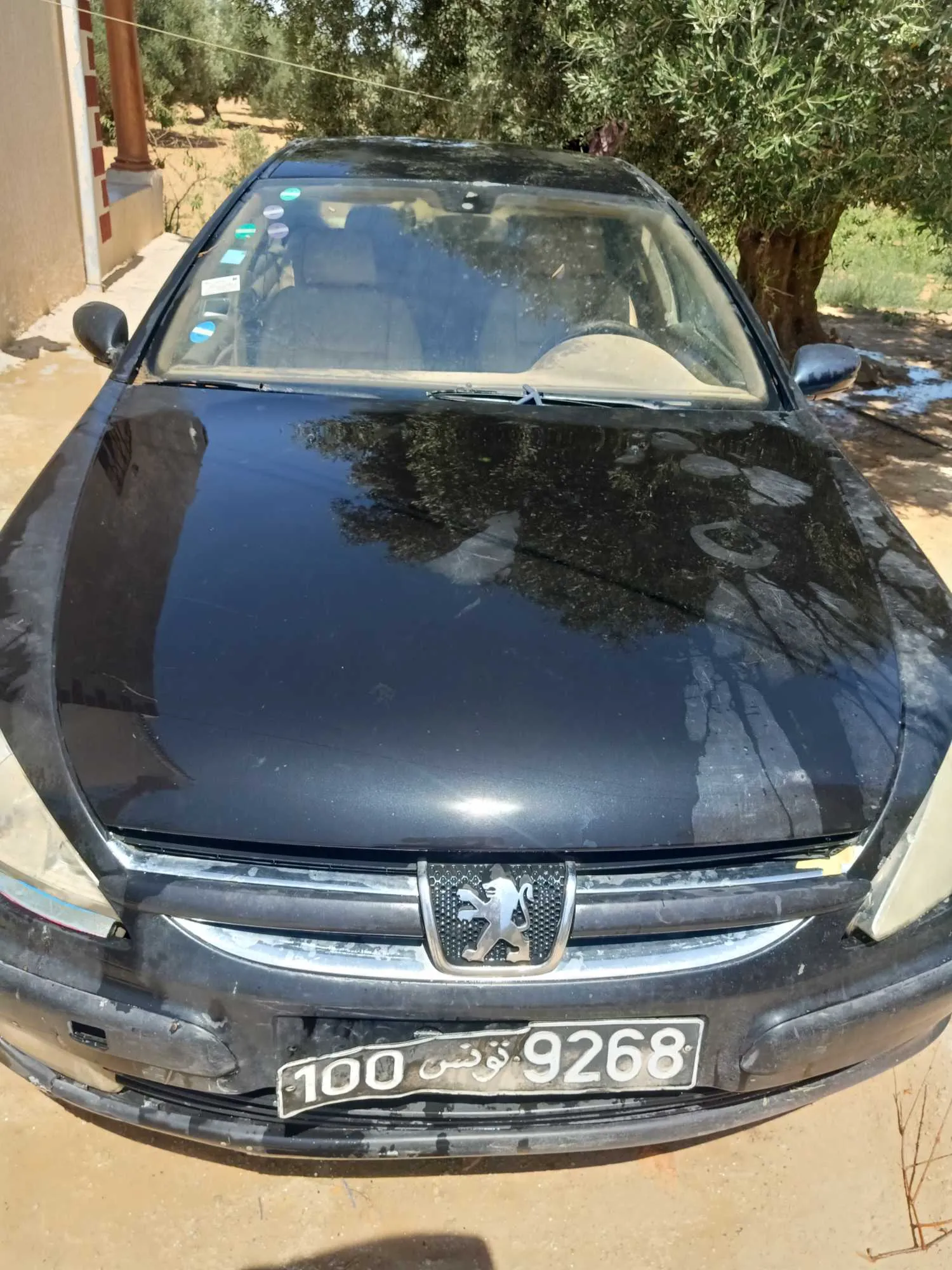 peugeot 607