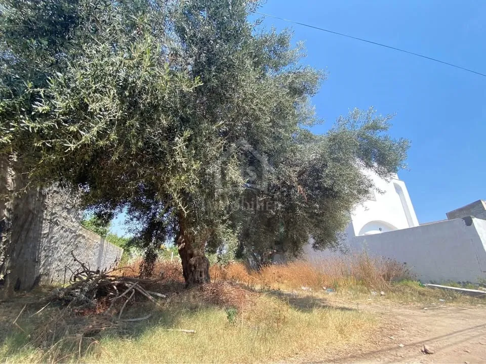 Lot de terrain de 250 m² à Hammamet à vendre 51355351