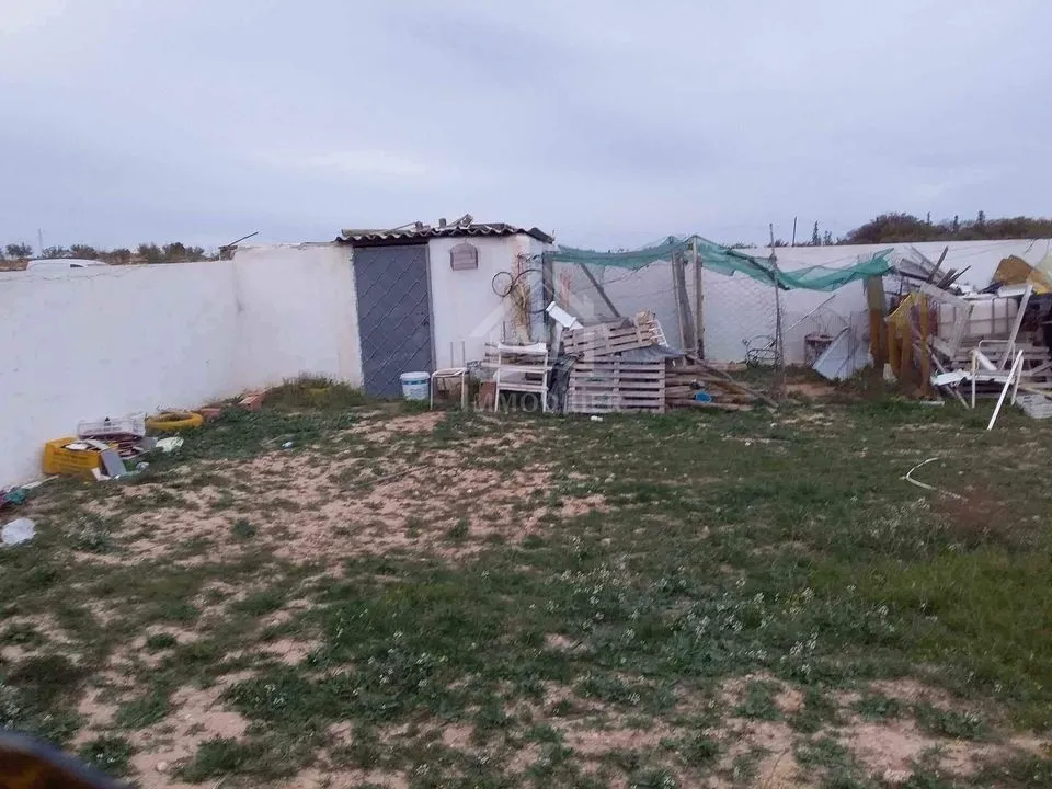 Terrain clôturé à vendre à 105 MD à Hammamet Sud 51355351